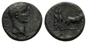 Macedon, Philippi. Augustus, 27 BC-AD 14. AE. 4.17 g. 16.99 mm.
Obv: AVG. Bare head of Augustus, right.
Rev: Two founders driving yoke of oxen right, ...