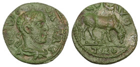 Troas, Alexandria. Valerian I, AD 253-260. AE, As. 3.42 g. 19.90 mm.
Obv: IMP LIC VALERIA. Draped, laureate and cuirassed bust of Valerian, right.
Rev...