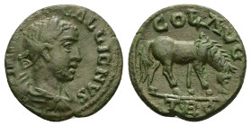 Troas, Alexandria. Gallienus, AD 253-268. AE. 4.00 g. 19.71 mm.
Obv: Bust of Gallienus, laureate, draped and cuirassed, right.
Rev: COL AVG TROAD. Hor...