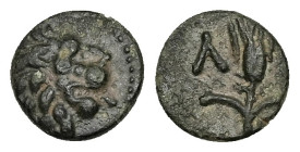 Thrace, Lysimacheia. Ae, 0.86 g 9.43 mm. Circa 309-220 BC. 
Obv: Head of lion right. Dotted border. 
Rev. Λ-Υ; Grain ear. 
Ref.: HGC 3.2, 1503; SNG Co...