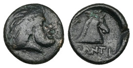 Cimmerian Bosporos, Pantikapaion. Ae, 1.76 g 13.30 mm. Circa 340-325 BC. 
Obv: Wreathed head of satyr right 
Rev: Head of horse right. 
Ref: Anokhin 9...