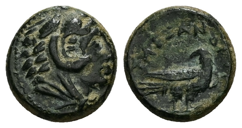 Kings of Macedon, Alexander III, Ae, 3.63 g 14.42 mm. 336-323 BC. 
Obv: Head of ...