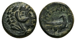 Kings of Macedon, Alexander III, Ae, 3.63 g 14.42 mm. 336-323 BC. 
Obv: Head of Herakles right. Dotted border. 
Rev. ΑΛΕΧΑΝΔΡΟΥ; Eagle standing right ...