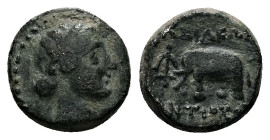 Seleukid Kingdom, Antiochos III ‘the Great’, Ae, 2.17 g 11.93 mm. 222-187 BC. Sardes, circa 211-208. Obv: Laureate head of Apollo to right. 
Rev: ΒΑΣΙ...