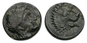 Troas, Antandros. Ae, 1.64 g 11.86 mm. Circa 350-250 BC.
Obv: Laureate head of Apollo right 
Rev: [ANTAN], lion's head right, tongue protruding.
Ref: ...