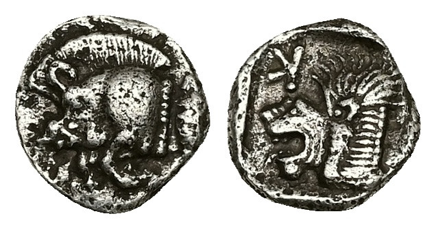 Mysia, Kyzikos. AR Obol, 0.76 g 9.23 mm. Circa 450-400 BC.
Obv: Forepart of boar...