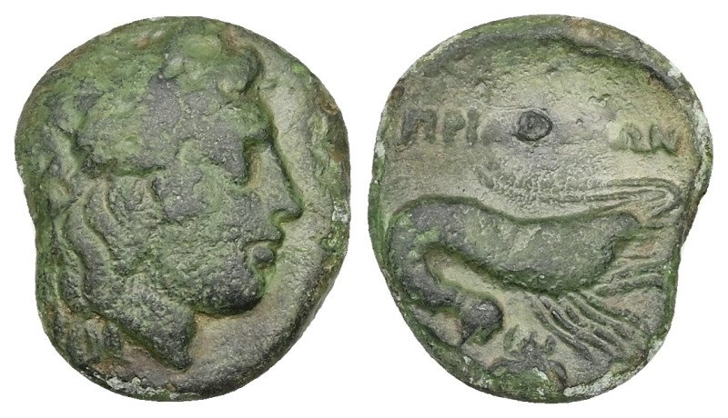 Mysia, Priapos. Ae, 4.26 g 18.78 mm. Circa 1st century BC.
Obv: Laureate head of...