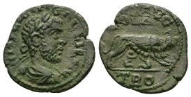 Troas, Alexandria. Gallienus, AD 253-268. AE. 3.85 g. 21.35 mm.
Obv: Bust of Gallienus, laureate, draped and cuirassed, right.
Rev: COL AVG TRO. She-w...