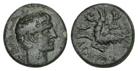 Mysia, Kyzikos. Augustus, 27 BC-AD 14. AE. 3.50 g. 14.44 mm.
Obv: Bare head of Augustus, right.
Rev: Capricorn, left, with head turned back.
Ref: RPC ...