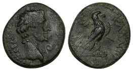 Phrygia, Amorium. Augustus, 27 BC-AD 14. AE. 5.82 g. 20.13 mm.
Obv: ϹƐΒΑϹΤΟϹ. Bare head of Augustus, right; before, lituus.
Rev: ΚΑΛΛΙΠΠΟϹ ΑΜΟΡΙΑΝWΝ. ...