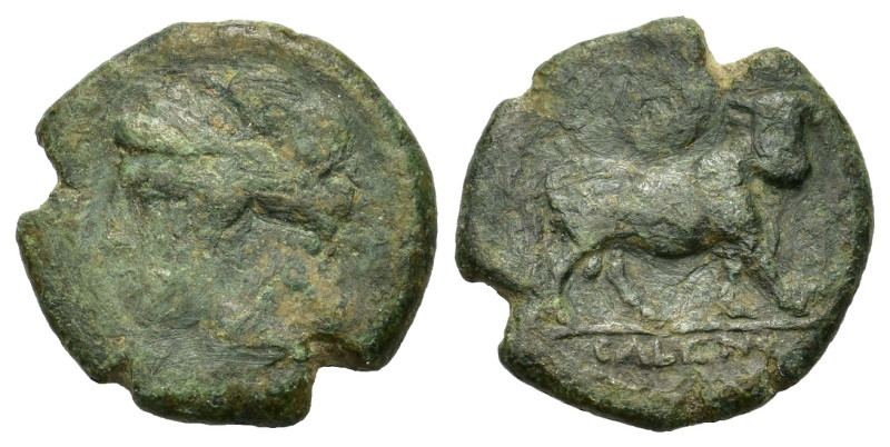 Italy, Campania, Cales. c. 265-240 BC. Æ (21 mm, 6,4 g) Laureate head of Apollo ...