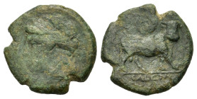 Italy, Campania, Cales. c. 265-240 BC. Æ (21 mm, 6,4 g) Laureate head of Apollo l.; on r.,thunderbolt. R/ CALENO, man-faced bull advancing r.; in ex. ...