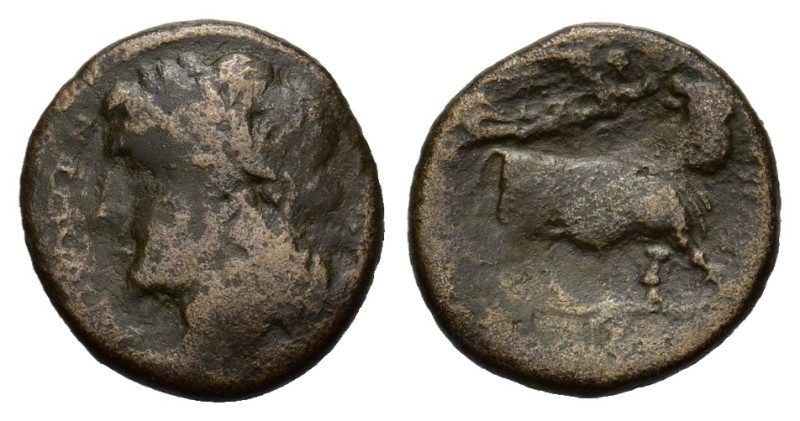 Italy, Campania, Neapolis. Circa 275-250 BC. Æ (17,5 mm, 4 g) Laureate head of A...