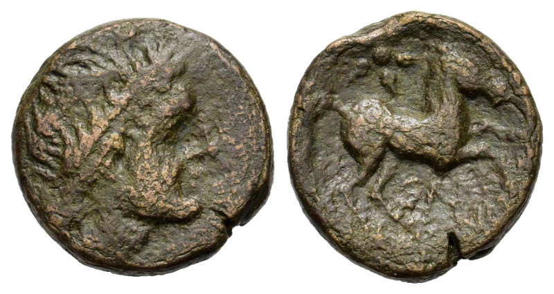 Italy, Northern Apulia, Salapia, c. 225-210 BC. Æ (19 mm, 7 g). Laureate head of...