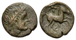 Italy, Northern Apulia, Salapia, c. 225-210 BC. Æ (19 mm, 7 g). Laureate head of Apollo r. R/ Horse prancing r.; star above. HN Italy 692c; SNG Copenh...