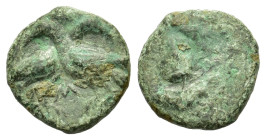 Italy, Lucania, Laos. Circa 350-300 BC. Æ (12,8 mm, 1,6 g). Female head facing. R/ Two birds crossing paths. HN Italy 2302; McClean 884.