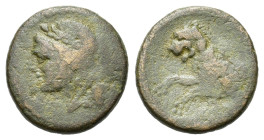 Sicily, Leontini. After 210 BC. Æ (13,9 mm, 2 g). Laureate head of Apollo left; plow behind. R/ Forepart of roaring lion left. Cf. Calciati III pg. 83...