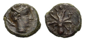 Sicily, Syracuse. Second Democracy. 466-405 BC. Æ Onkia (11 mm, 1,3 g) Head of Arethusa right; dolphin behind. R/ Octopus; three pellets (mark of valu...