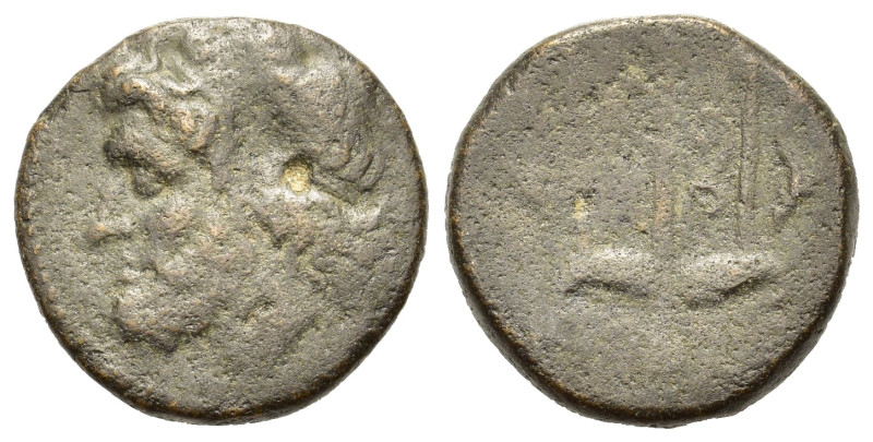 Sicily, Syracuse. Hieron II. c. 275-216 BC. Æ Litra. (19,2 mm, 6,3 g). Head of P...