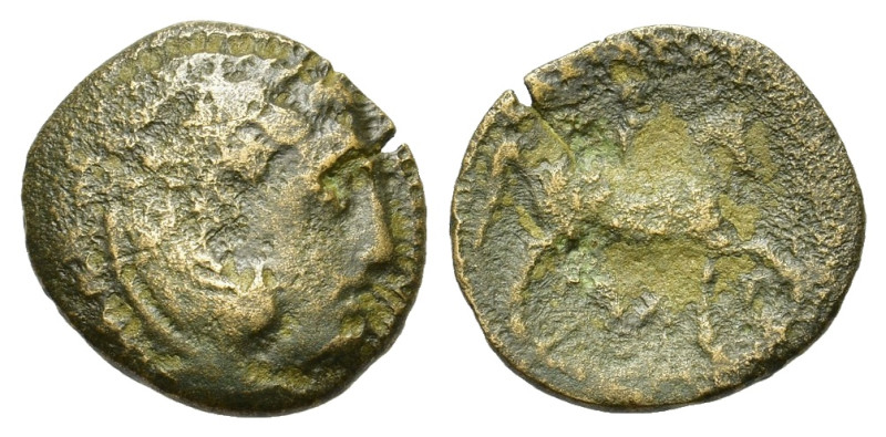Kings of Macedon. Alexander III 'the Great'. 336-323 BC. Æ (18,5 mm, 3,6 g) Unce...