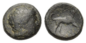 Akarnania. Argos Amphilochikon. 330-300 BC. AE (18mm 8,00gr.) Youthful head of Hermes? right R/ Dog standing to right; BCD Akarnania 146-148 (variant)...