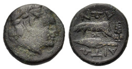 Aitolia, Aitolian League. 290-220 BC. AE (18.5 mm, 5,50gr.). Laureate head of Apollo to right. ΑΙΤΩ/ΛΩΝ Spearhead above jawbone; to left, grape bunch....
