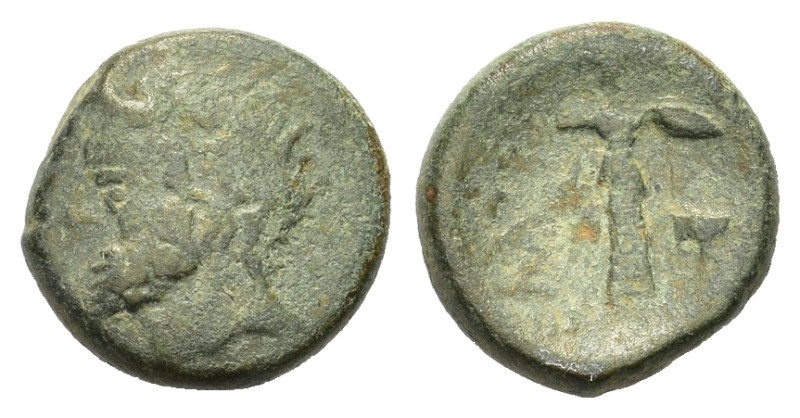 Phokis federal coinage. Elateia 2nd century BC. AE (19mm,
8,00gr.). Bearded head...