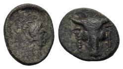 Phokis, Elateia. Early 2nd century BC. Æ (20mm, 5,00gr.). Head of bull facing, fillets hanging from ears; EΛ above. R/ ΦΩKEΩN, laureate head of Apollo...