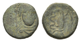 Euboea. Chalkis. 338-308 BC. AE (14,5mm, 3,50gr.). Diademed bust of Hera facing. R/ XAΛ Eagle standing to left (very rare), with spread wings, devouri...