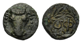Phokis. Federal coinage. (Bronze denominations: Random thoughts and theories). 370 – 360 BC. AE (12,5mm, 1,70gr.) Facing bull’s head. R/ ΦΩ in wreath ...