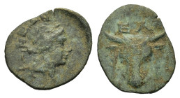 Phokis. Elateia. Early 2nd century BC. Æ (16.5mm, 1,90gr.). Head of bull facing, fillets hanging from ears; EΛ above R/ ΦΩΚΕΩΝ Laureate head of Apollo...