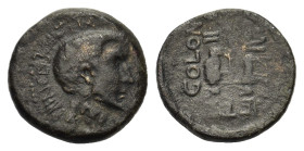 Macedon, Bisaltia. Octavian 41 – 27 BC. Æ (20mm, 7,00gr.). PRINCEPS
FELIX Bare head of Octavian. R/ COLONIA IVLIA II V IR VE TER Two
humped oxen pulli...