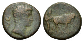 Augustus, 27 BC -14 AD. Æ (18,5 mm,5 g). Macedon. Philippi. AVG Bare head of Augustus to right. R/Two founders driving yoke of oxen right, plowing pom...