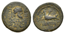 Pseudo-autonomous issue. Andronikos, son of Gorgippou, magistrate. Time of Augustus, 27 BC-AD 14. Æ (14,3 mm, 2.5 g). Caria. Trapezopolis. ΑΝΔΡΟΝΙΚΟΣ ...