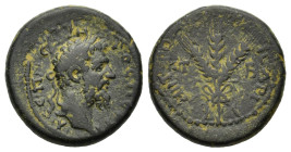 Septimius Severus. AD 193-211. Æ (22 mm, 8.9 g) Cappadocia Caesarea. Laureate head r. R/ Three corn-ears tied together. Sydenham 413.