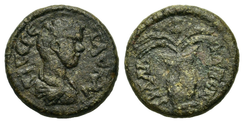 Geta as Caesar. AD 198-209. Æ (17,5 mm, 4,3 g) Lydia, Apollonis(?). Cf. SNG Cope...