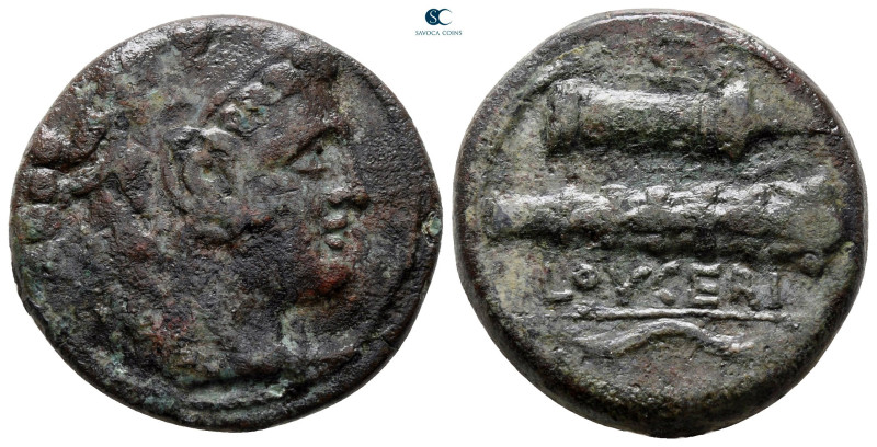Apulia. Luceria circa 211-200 BC. 
Bronze Æ

25 mm, 12,07 g



very fine