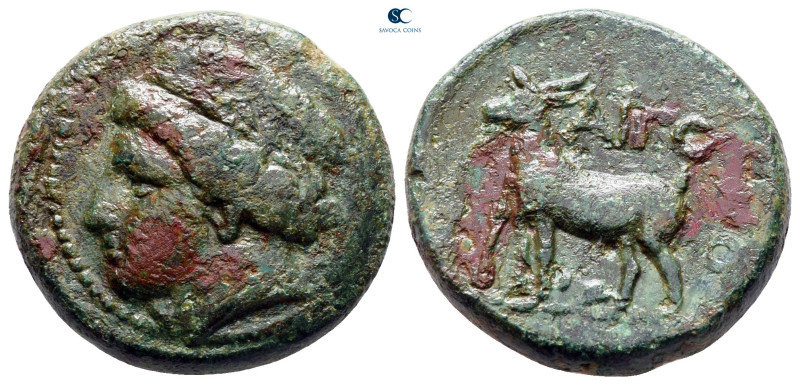 Thrace. Aigospotamoi circa 400-300 BC. 
Bronze Æ

21 mm, 8,77 g



very f...