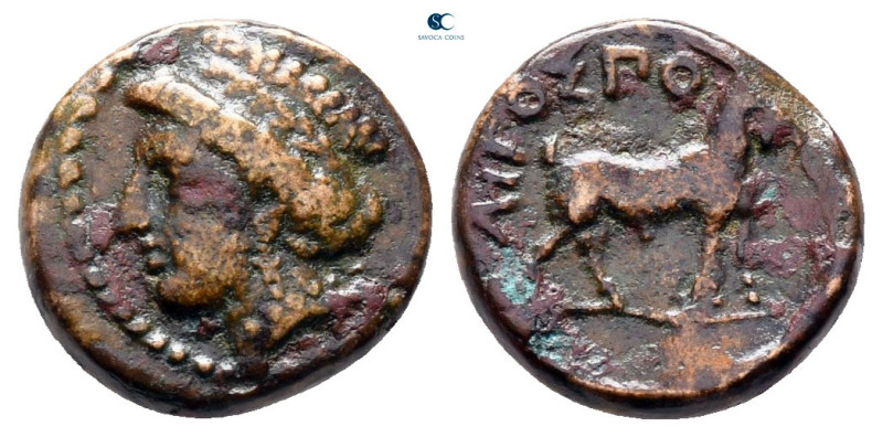 Thrace. Aigospotamoi circa 400-300 BC. 
Bronze Æ

11 mm, 1,38 g



very f...