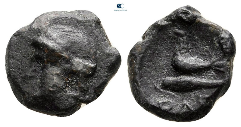 Scythia. Olbia circa 315-310 BC. 
Bronze Æ

11 mm, 1,06 g



very fine