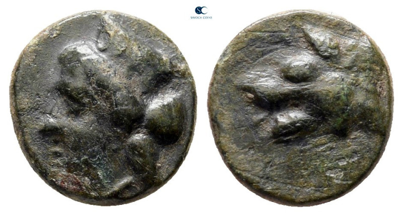 Argolis. Argos circa 400-370 BC. 
Bronze Æ

10 mm, 0,92 g



very fine