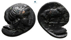 Mysia. Gambrion circa 300 BC. Bronze Æ