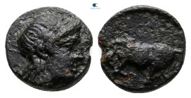 Mysia. Gambrion circa 300 BC. Bronze Æ