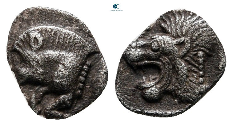 Mysia. Kyzikos circa 525-475 BC. 
Bronze Æ

8 mm, 0,30 g



very fine