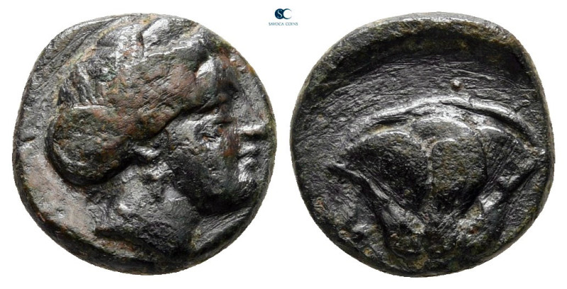 Islands off Caria. Rhodos circa 350-300 BC. 
Bronze Æ

10 mm, 1,41 g



v...