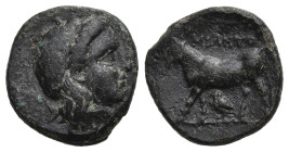 Greek
MYSIA. Miletopolis (Circa 4th century BC)
AE Bronze (13.95mm 1.85g)
Obv: Laureate head of Apollo right.
Rev: MIΛHTO. Bull advancing left; be...