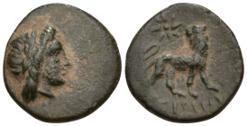 Greek
IONIA. Miletos. (circa 350-190 BC).
AE Bronze (12mm 0.84g)
Obv: Laureate head of Apollo right
Rev: Lion standing right, head reverted; star ...
