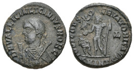 Roman Imperial
Licinius II, Caesar (317-324 AD). Antioch
AE Follis (20.1mm 2.64g)
Obv: D N VAL LICIN LICINIVS NOB C, laureate and draped bust left,...