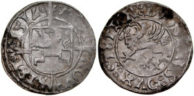 Pomorze, Bogusław X 1478-1523, Szeląg 151V, Szczecin.