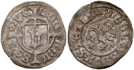 Pomorze, Bogusław X 1478-1523, Wit MVC, Szczecin.